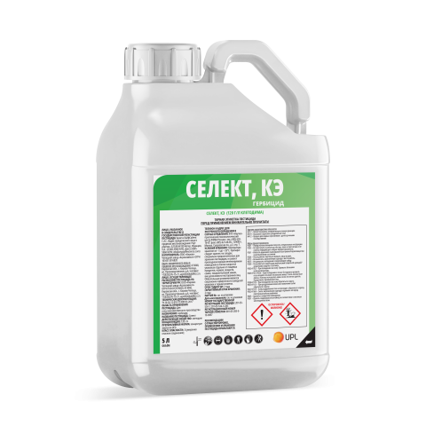 Қыздардың анустарын үлкен дилдостар жыртып алады