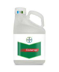 СОЛИГОР