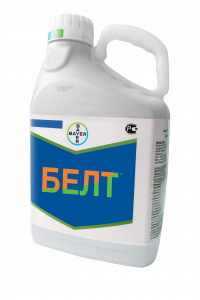 БЕЛТ