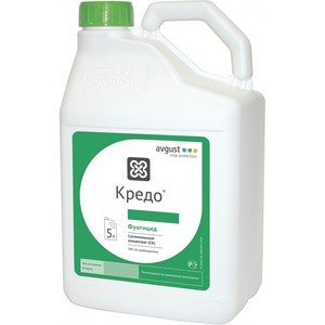 Кредо, к.с.
