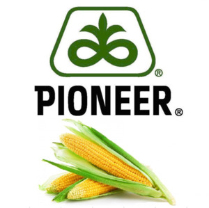 PIONEER P8025